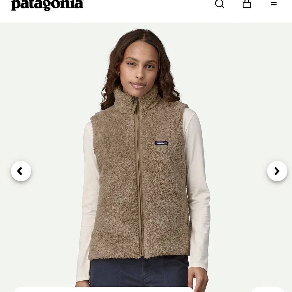 Patagonia Brown Fleece Vest